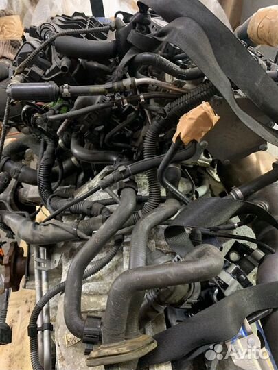 Двигатель Audi Q5 I 8R cdnc 2011