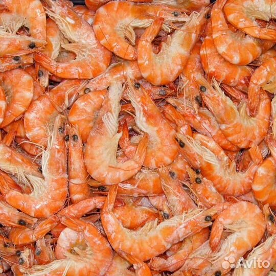 Креветки