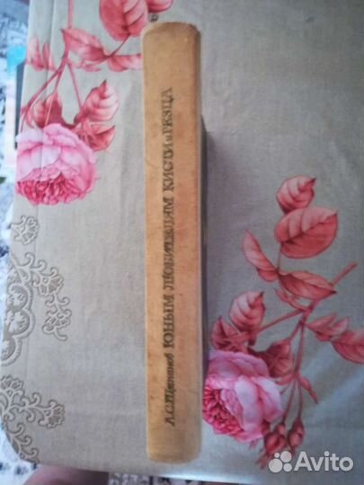 Книга. Юным любителям кисти и резца