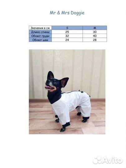 Новый комбинезон для собак