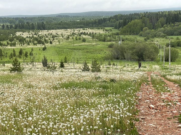 Участок 70 сот. (СНТ, ДНП)