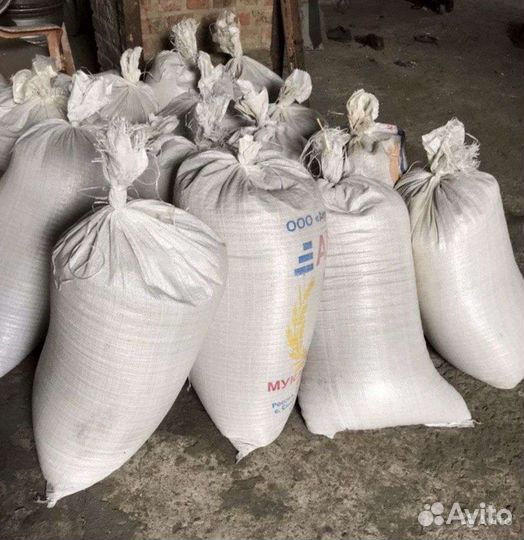 Пшеница мягкая