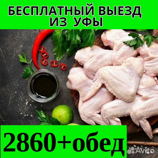 Вахта Пенза выезд бесплатно из Уфы упаковщик