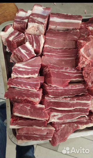 Мясо телятины Халяль