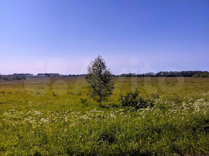 Участок 18,6 га (СНТ, ДНП)