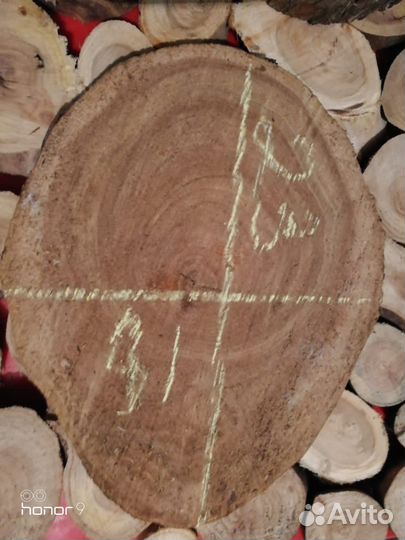 Торцевые спилы вяза