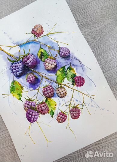 Акварель «Малина» А3