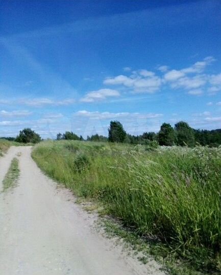 Участок 20 сот. (ИЖС)