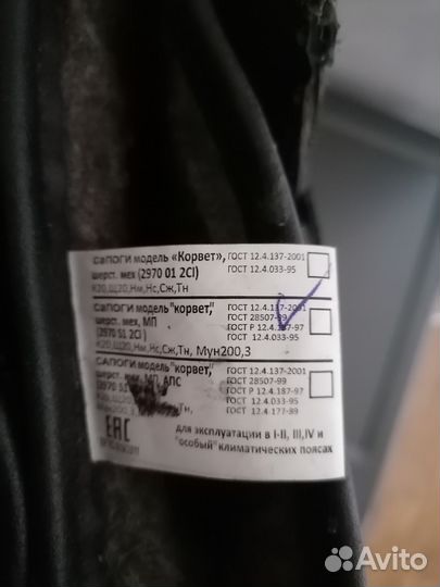 Сапоги мужские