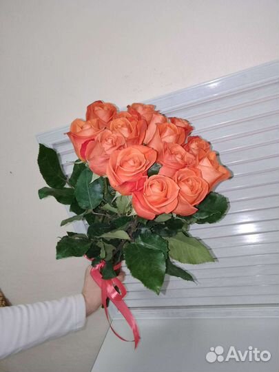 Хризантемы