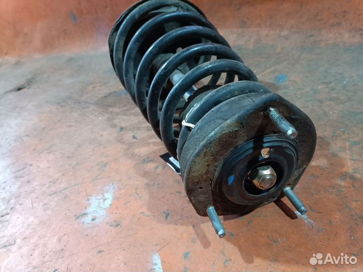 Амортизатор задний левый Toyota Avalon MCX10