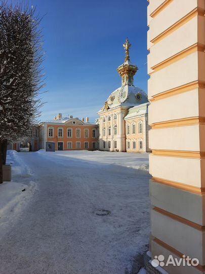 Гид экскурсовод по Петергофу