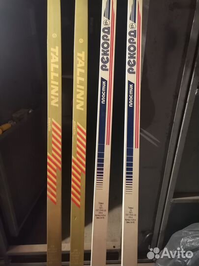 Беговые лыжи