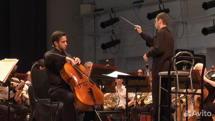 Преподаватель виолончели и сольфеджио