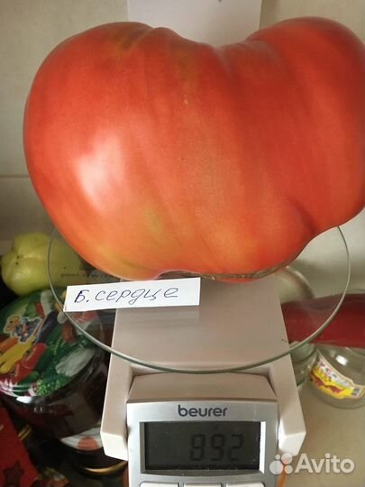 Семена томатов