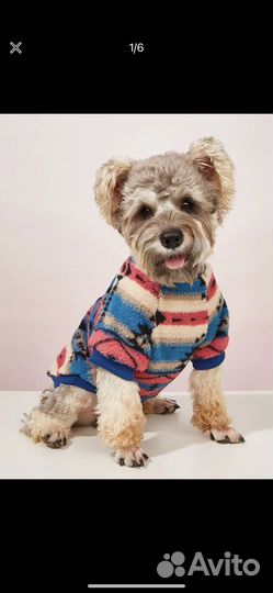 Одежда для собак мелких пород
