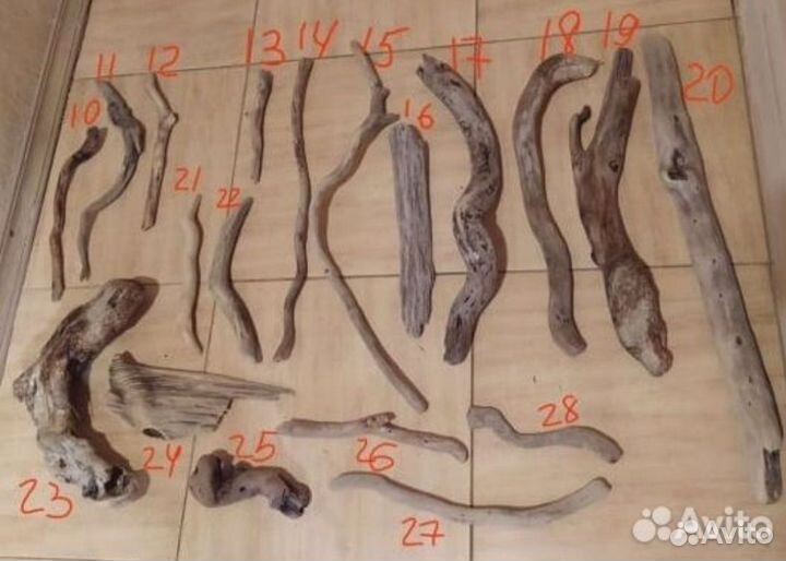 Дрифтвуд коряги деревяшки морские