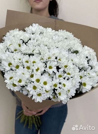 Хризантема Букеты с доставкой