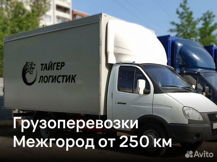 Грузоперевозки Межгород от 250 км