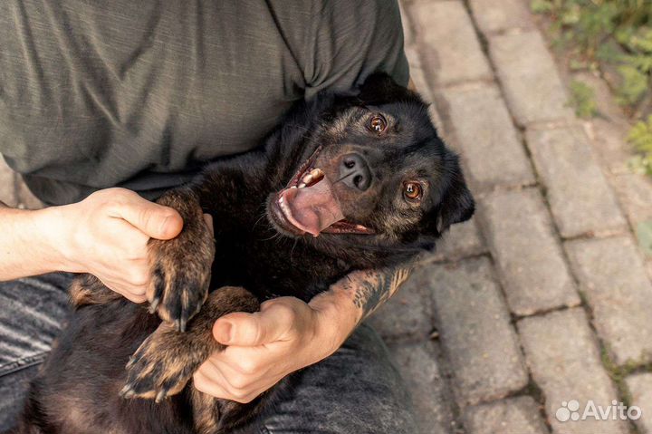 Солнечная Кайли ищет семью