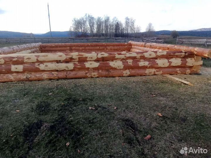 Сруб дома 8х8