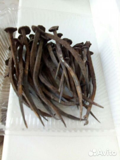 Гвозди старинные кованые