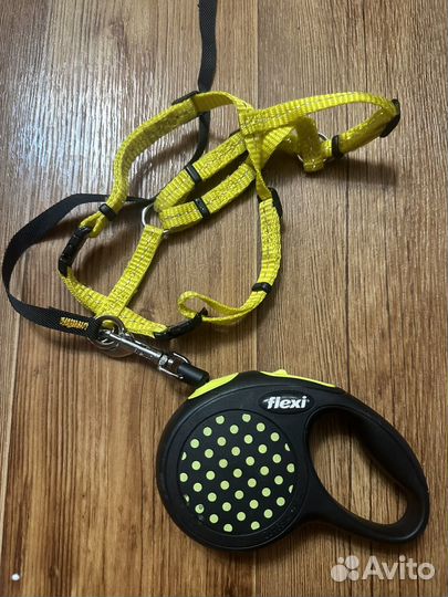 Поводок рулетка flexi xs