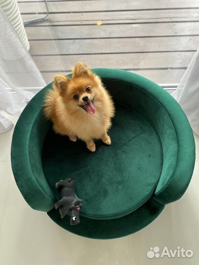 Лежанка для собак и кошек