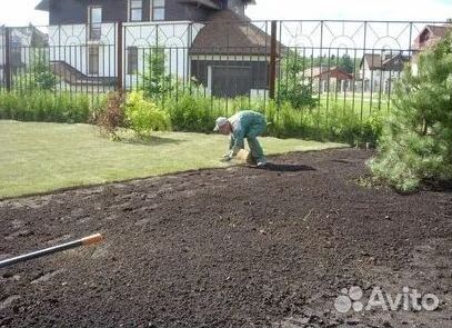 Газон от производителя