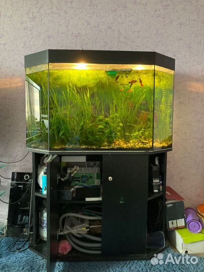 Аквариум