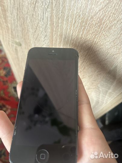 iPhone 5