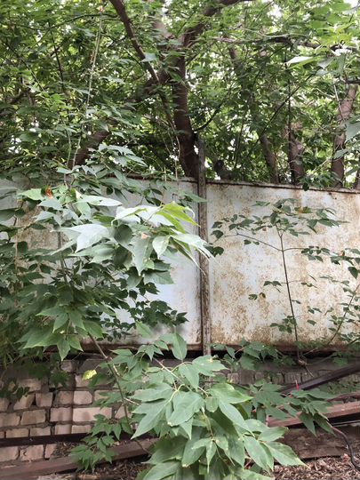 Участок 5 га (СНТ, ДНП)