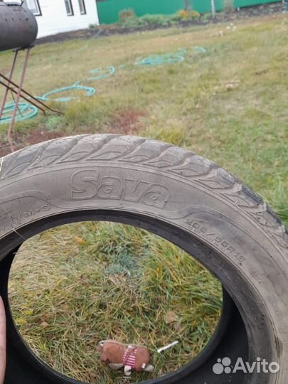 Sava Eskimo Stud 205/55 R16