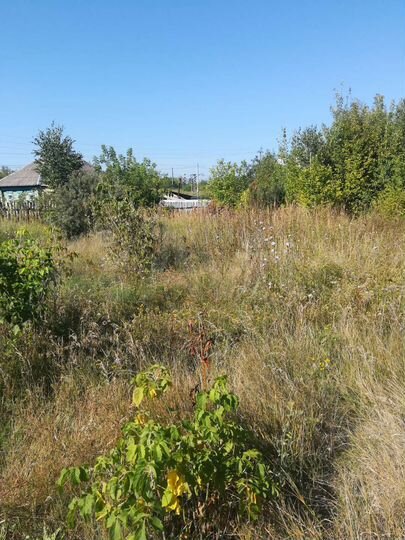 Участок 8 сот. (ИЖС)