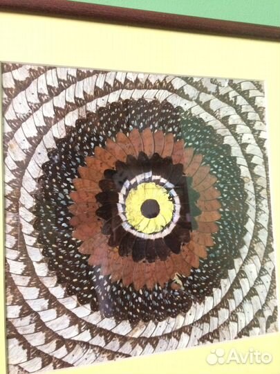 Панно декоративное из крыльев бабочек