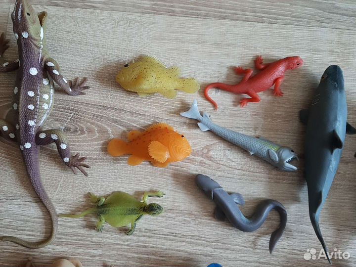 Коллекции лягушек, акул, геконов
