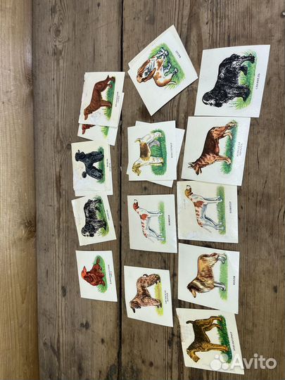 Переводные Татуировки СССР