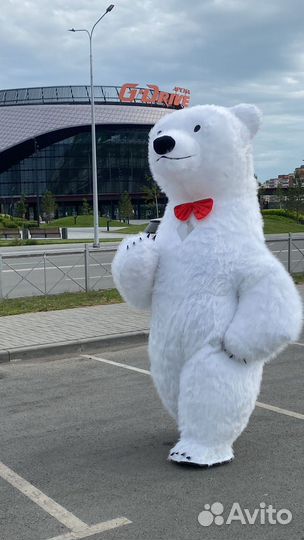 Поздравление от большого белого медведя