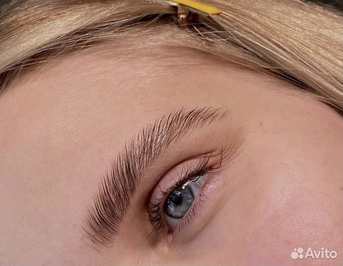 Мастер бровист