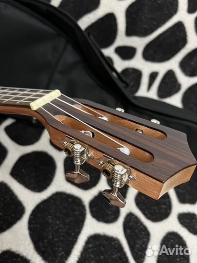 Укулеле концерт