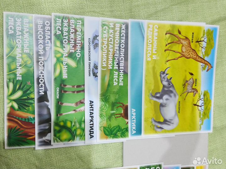 Природно-климатические зоны Земли