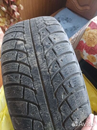 Gislaved Nord Frost 5 205/60 R16