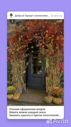 Осенний декор витрин и входов помещений