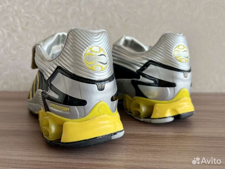 Сороконожки