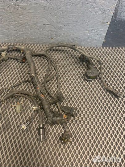 Проводка двс Kia Carnival K5M 2.5 2005