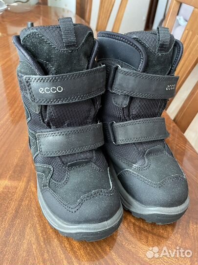 Сапоги Ecco