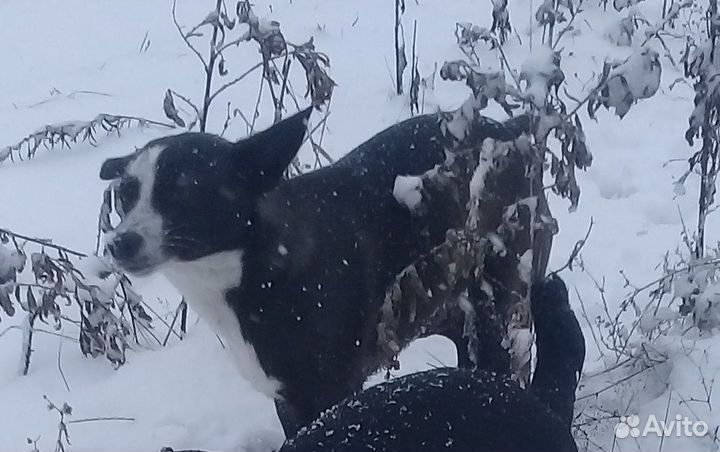 Хочет быть самой любимой