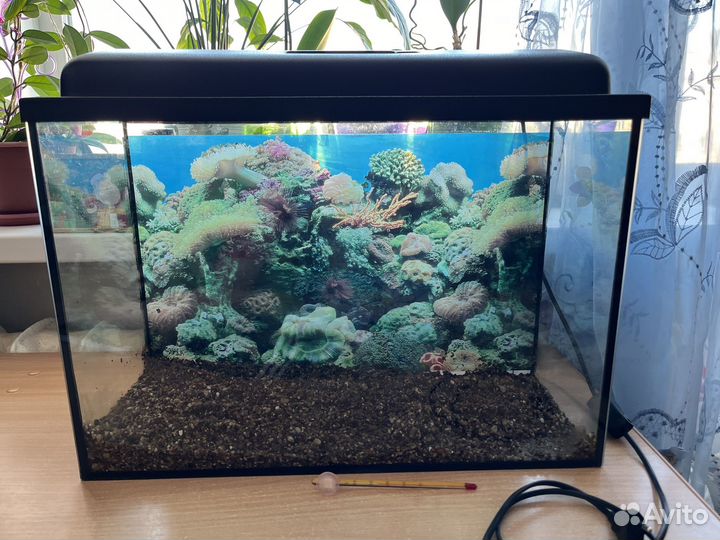 Аквариум