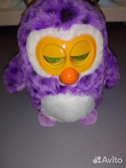 Говорящая сова