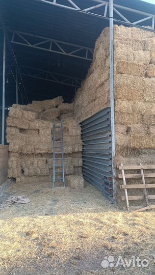 Солома в тюках